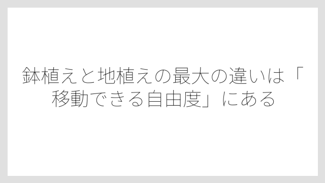 鉢植えと地植えの最大の違いは「移動できる自由度」にある