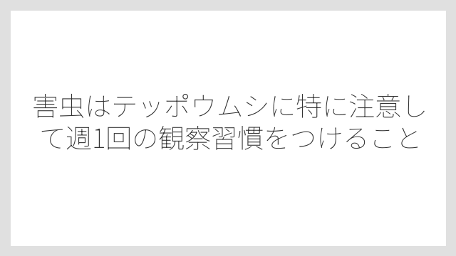 害虫はテッポウムシに特に注意して週1回の観察習慣をつけること