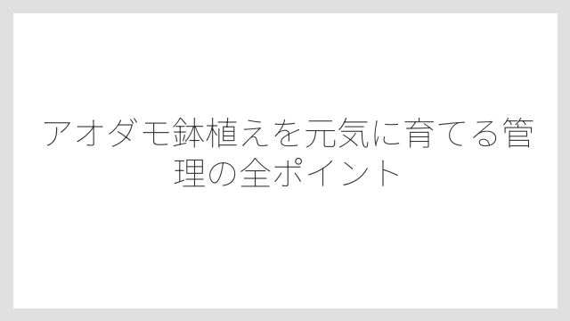 アオダモを植える最適な場所は午前日当たりの良い半日陰