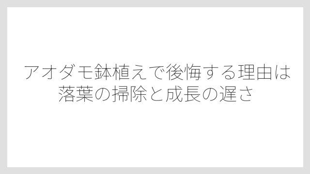 アオダモ鉢植えで後悔する理由は落葉の掃除と成長の遅さ