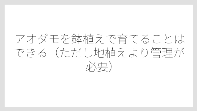 アオダモを鉢植えで育てることはできる（ただし地植えより管理が必要）