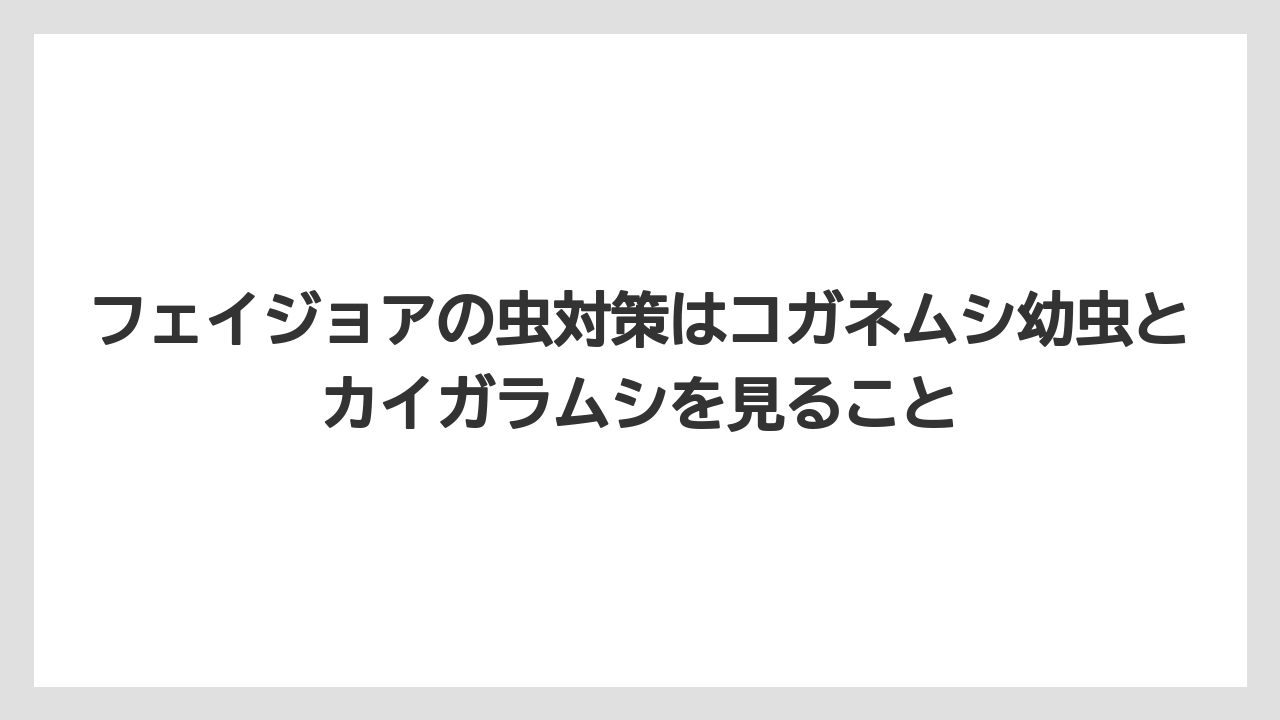 【フェイジョア】【後悔】【栽培】【植え】フェイジョアの虫対策はコガネムシ幼虫とカイガラムシを見ること