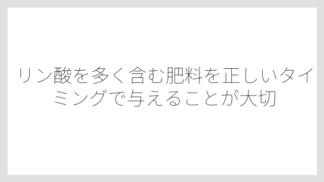リン酸を多く含む肥料を正しいタイミングで与えることが大切