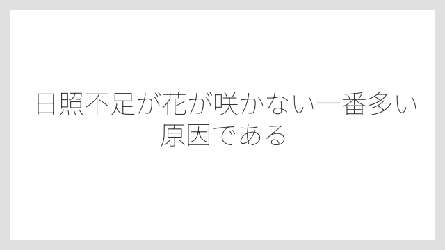 日照不足が花が咲かない一番多い原因である
