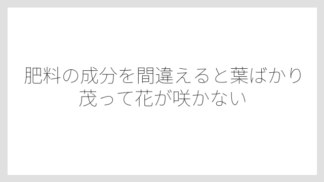肥料の成分を間違えると葉ばかり茂って花が咲かない