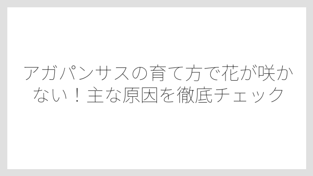 アガパンサスの育て方で花が咲かない！主な原因を徹底チェック