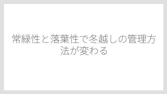 常緑性と落葉性で冬越しの管理方法が変わる