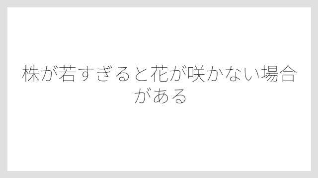 株が若すぎると花が咲かない場合がある