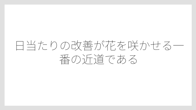 日当たりの改善が花を咲かせる一番の近道である