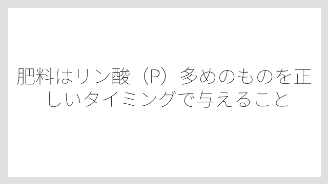 肥料はリン酸（P）多めのものを正しいタイミングで与えること