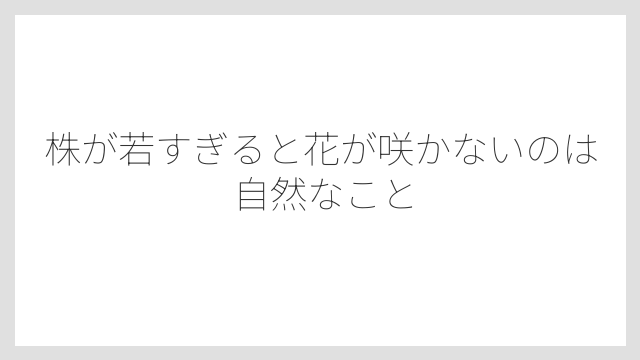 株が若すぎると花が咲かないのは自然なこと