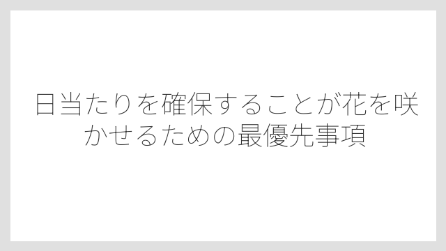日当たりを確保することが花を咲かせるための最優先事項