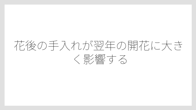花後の手入れが翌年の開花に大きく影響する