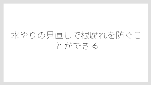 水やりの見直しで根腐れを防ぐことができる