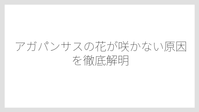 アガパンサスの花が咲かない原因を徹底解明