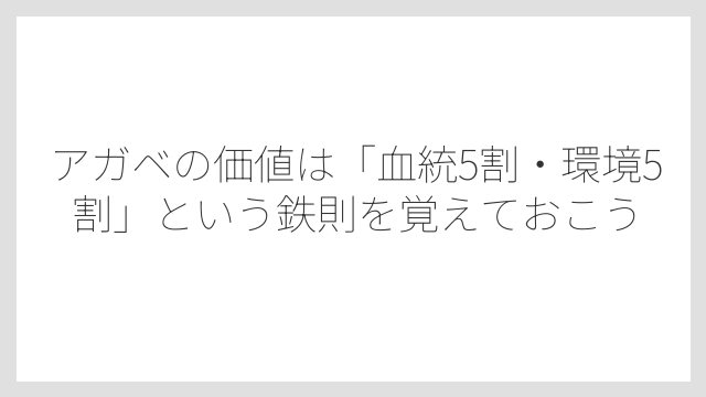 アガベの価値は「血統5割・環境5割」という鉄則を覚えておこう