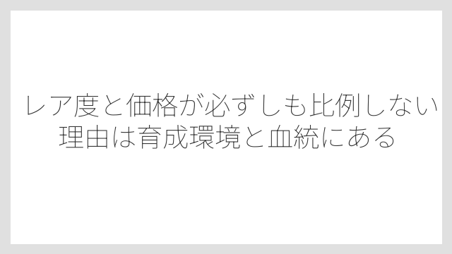 レア度と価格が必ずしも比例しない理由は育成環境と血統にある