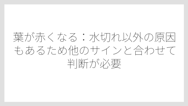 葉が赤くなる：水切れ以外の原因もあるため他のサインと合わせて判断が必要