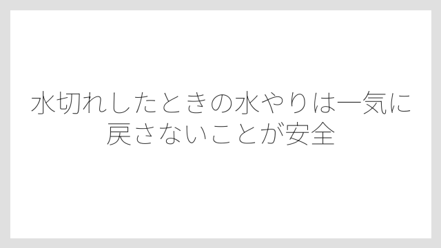 水切れしたときの水やりは一気に戻さないことが安全
