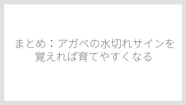 まとめ：アガベの水切れサインを覚えれば育てやすくなる