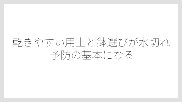 乾きやすい用土と鉢選びが水切れ予防の基本になる