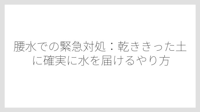 腰水での緊急対処：乾ききった土に確実に水を届けるやり方