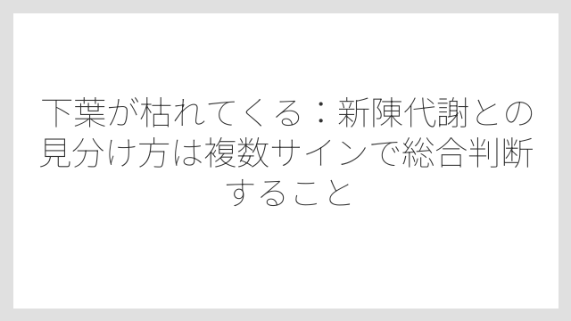 下葉が枯れてくる：新陳代謝との見分け方は複数サインで総合判断すること