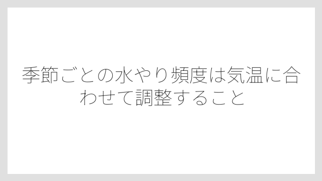 季節ごとの水やり頻度は気温に合わせて調整すること
