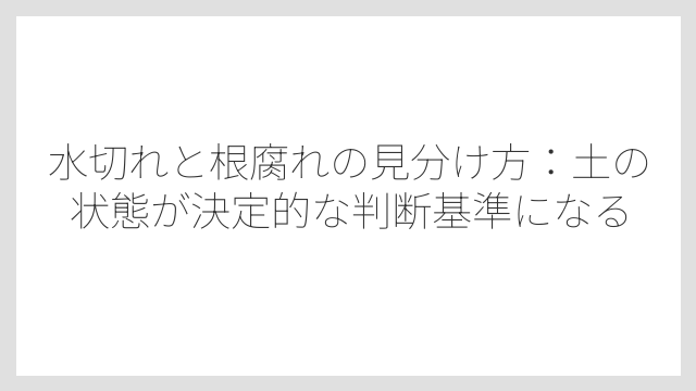 水切れと根腐れの見分け方：土の状態が決定的な判断基準になる