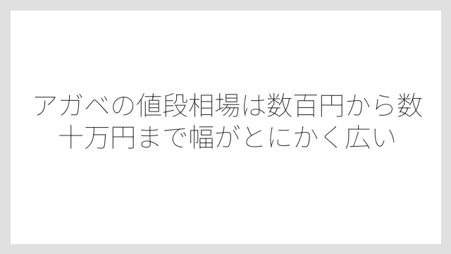 アガベの値段相場は数百円から数十万円まで幅がとにかく広い