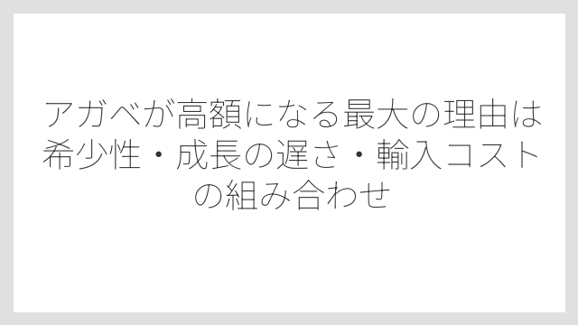 アガベが高額になる最大の理由は希少性・成長の遅さ・輸入コストの組み合わせ