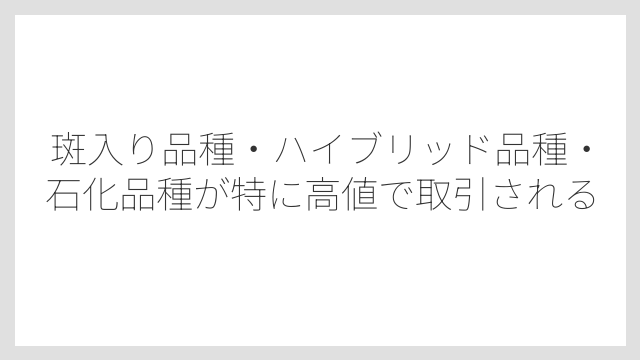 斑入り品種・ハイブリッド品種・石化品種が特に高値で取引される