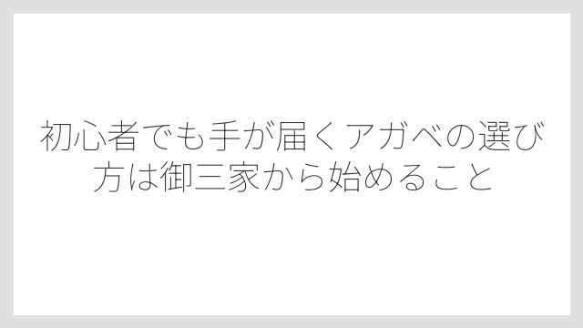 初心者でも手が届くアガベの選び方は御三家から始めること