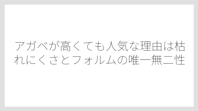 アガベが高くても人気な理由は枯れにくさとフォルムの唯一無二性