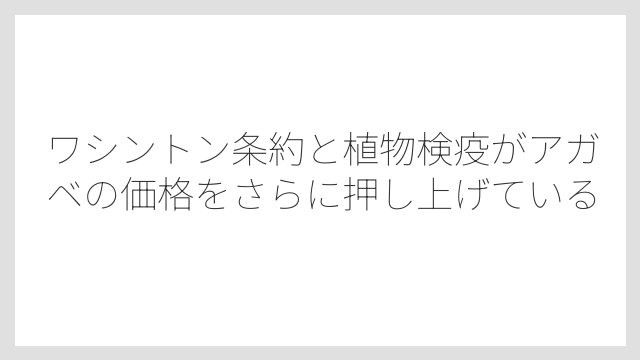 ワシントン条約と植物検疫がアガベの価格をさらに押し上げている