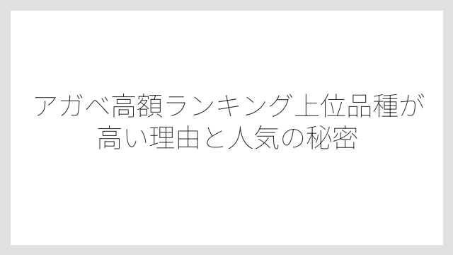 アガベの値段相場は数百円から数十万円まで幅がとにかく広い