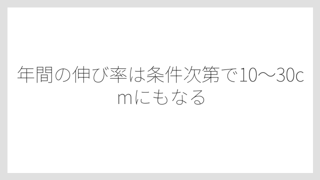 年間の伸び率は条件次第で10〜30cmにもなる