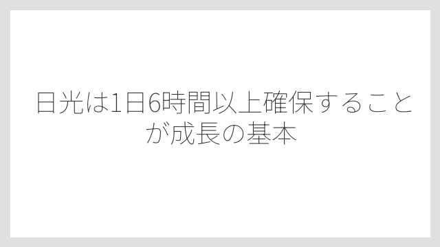 日光は1日6時間以上確保することが成長の基本