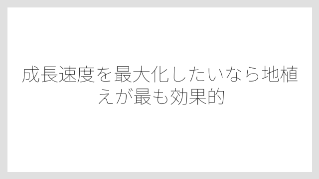 成長速度を最大化したいなら地植えが最も効果的