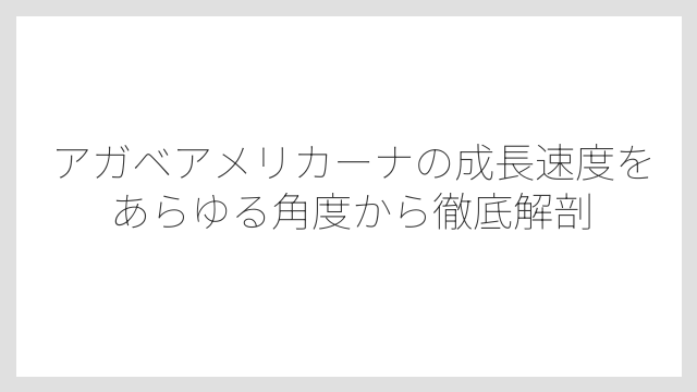 アガベアメリカーナの成長速度をあらゆる角度から徹底解剖