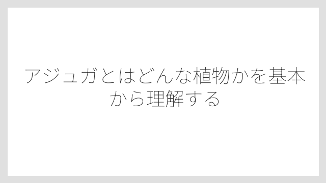 アジュガとはどんな植物かを基本から理解する