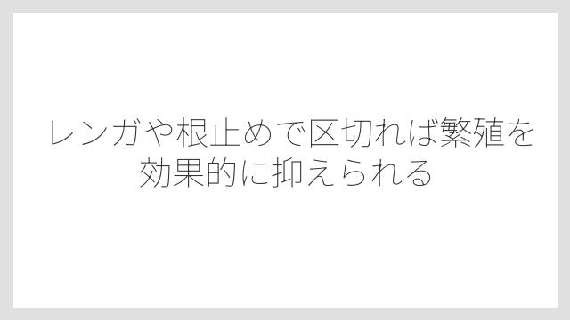 レンガや根止めで区切れば繁殖を効果的に抑えられる