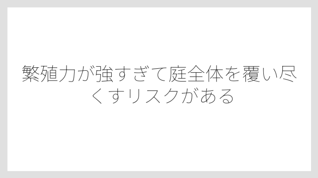 繁殖力が強すぎて庭全体を覆い尽くすリスクがある