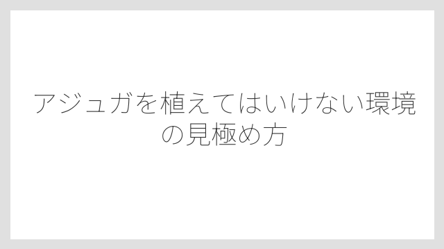アジュガを植えてはいけない環境の見極め方