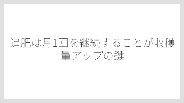 追肥は月1回を継続することが収穫量アップの鍵