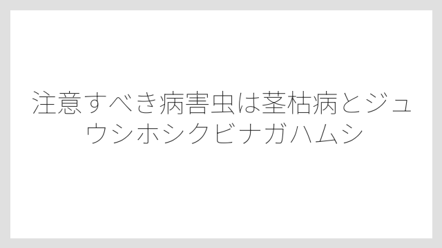 注意すべき病害虫は茎枯病とジュウシホシクビナガハムシ