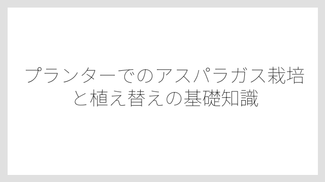 プランターでのアスパラガス栽培と植え替えの基礎知識