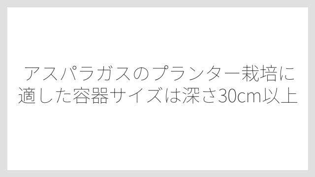 アスパラガスのプランター栽培に適した容器サイズは深さ30cm以上