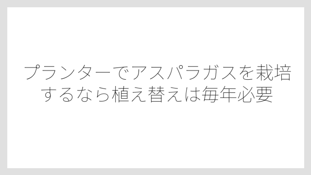 プランターでアスパラガスを栽培するなら植え替えは毎年必要