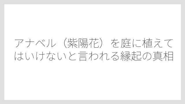 アナベル（紫陽花）を庭に植えてはいけないと言われる縁起の真相